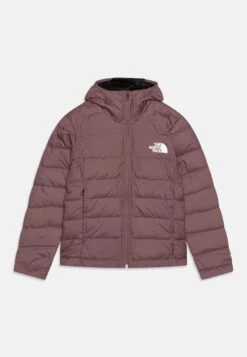 The North Face Never Stop - Down Jacket - Fawn Grey