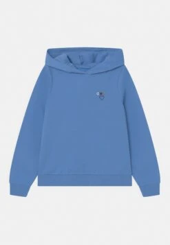 Kognoomi Logo Hood - Hoodie - Provence