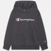 Champion Classic Hooded Large Logo Unisex - Hoodie - Ebony