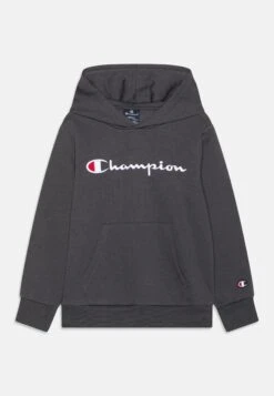 Champion Classic Hooded Large Logo Unisex - Hoodie - Ebony