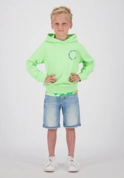 Raizzed Westport - Hoodie - Mint Lights