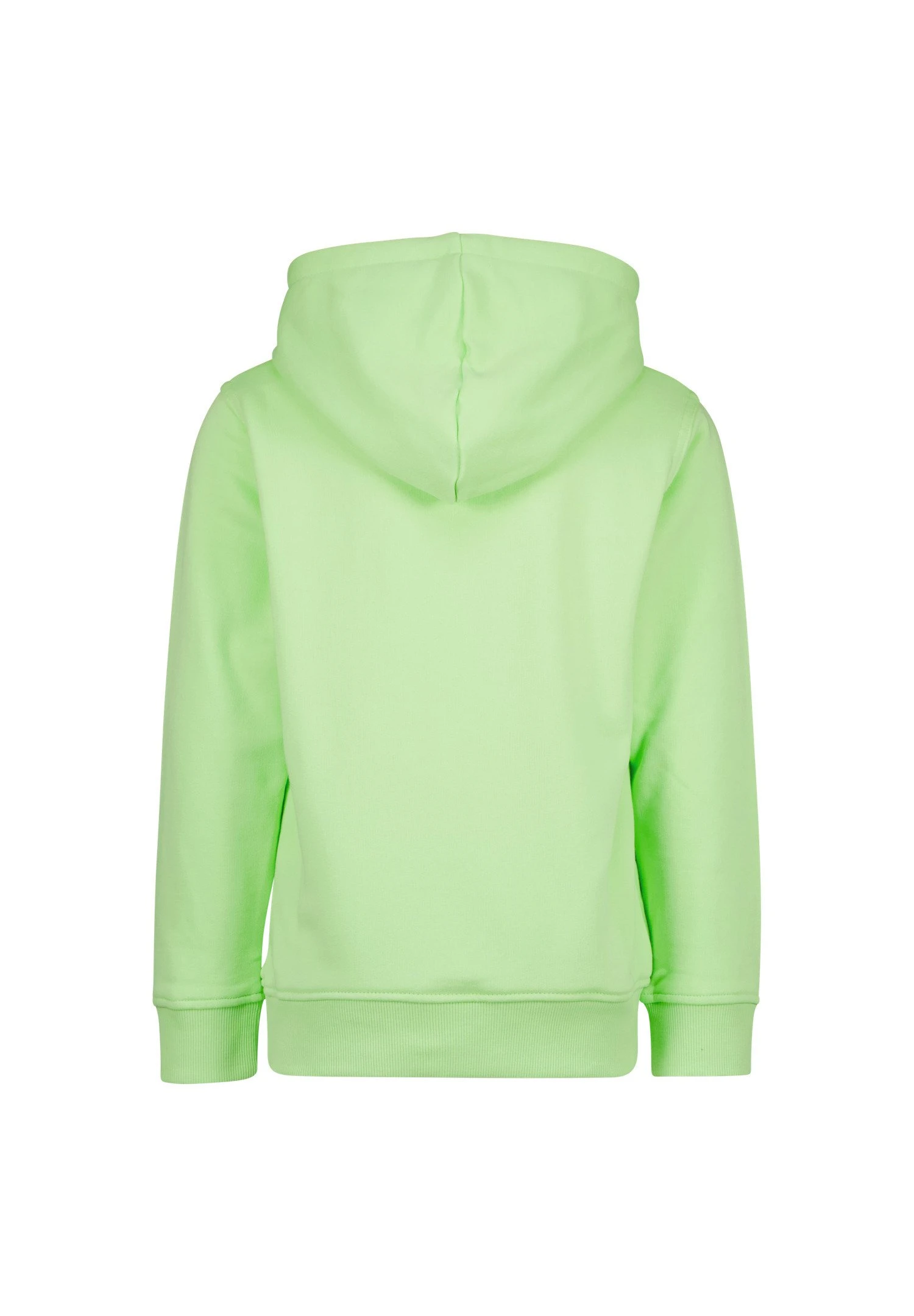 Raizzed Westport - Hoodie - Mint Lights 7 Raizzed Westport - Hoodie - Mint Lights - Image 5