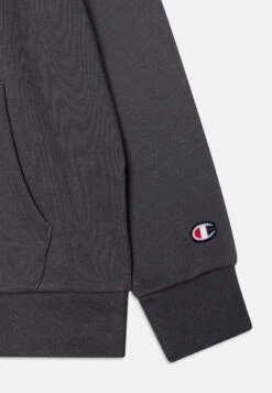 Champion Classic Hooded Large Logo Unisex - Hoodie - Ebony -Kids Clothing Shop 633ed7e3c22b4f788809eb03a0369bda