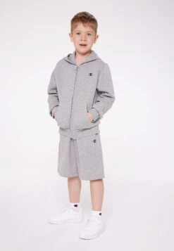 Champion Basic Hooded Full Zip Unisex - Zip-Up Sweatshirt - Grey