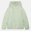 Abercrombie & Fitch Cozy Puffer- Winter Jacket - Green