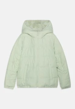 Abercrombie & Fitch Cozy Puffer- Winter Jacket - Green